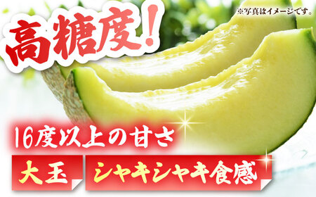 熊本スイカメロン先行予約 黒小玉スイカ(ひとりじめBonBon)・肥後グリーンメロンセット各1玉(計約4.8kg)すいかめろんZBY003