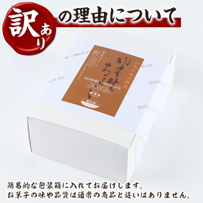 【訳あり！簡易包装】ご自宅用！半生ちょこ 17個 濃厚で芳醇！ふんわりかるーい♪ 冷凍 個包装【00-014-03】
