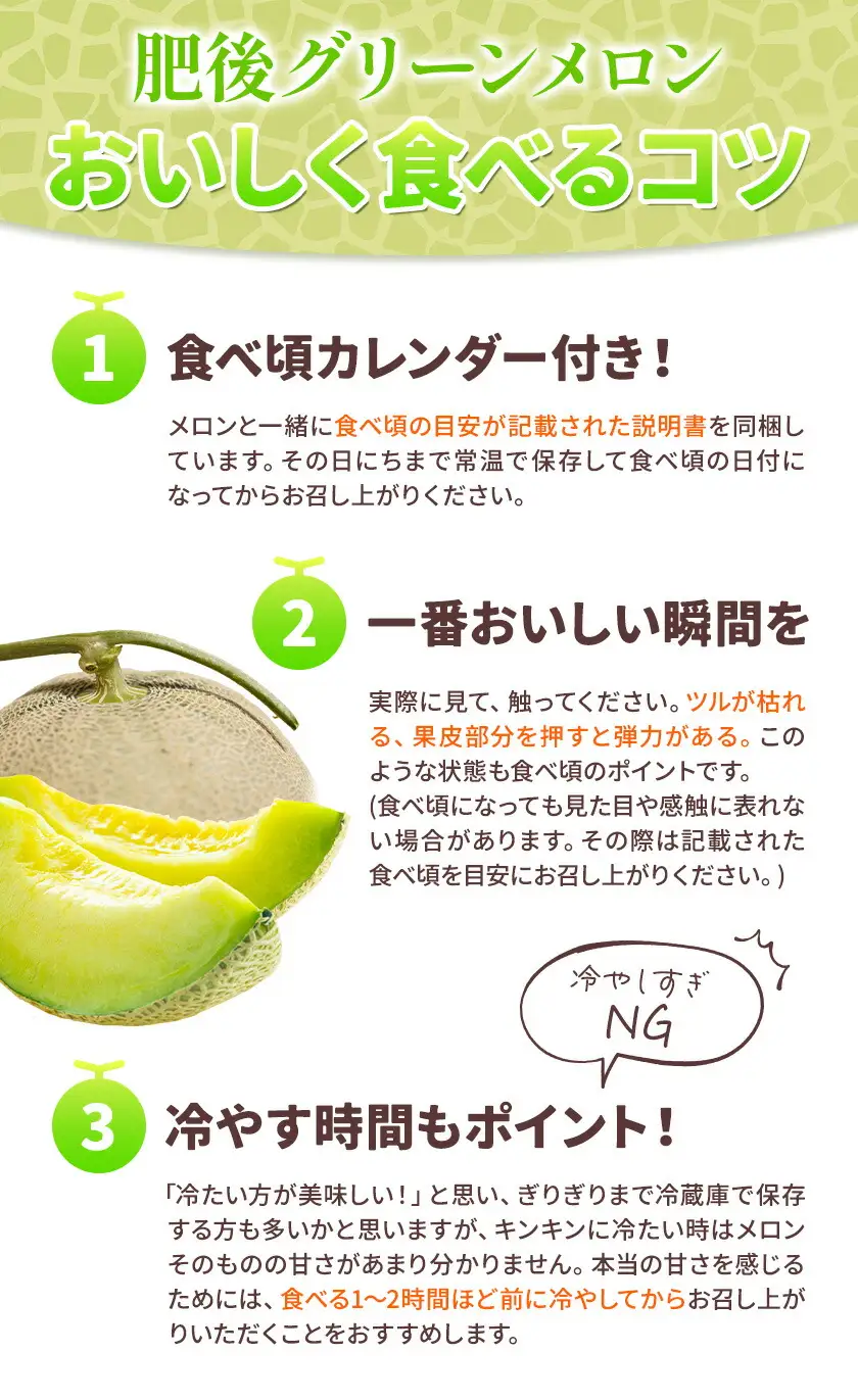 肥後グリーンメロン 1玉 2L以上【メロンドーム】 メロン 果物 フルーツ 九州産 熊本県産 送料無料【2026年5月中旬頃より出荷】【先行予約】