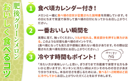 肥後グリーン メロン 2玉 約3.2kg 七城町特産品センター《5月中旬-6月末頃出荷》熊本県 菊池市 メロン 果物 フルーツ 九州産 熊本県産 めろん グリーンメロン