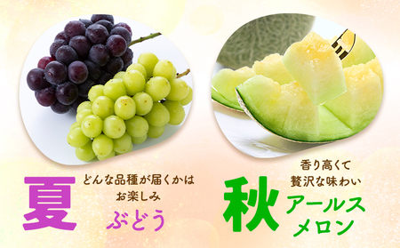【2回定期便】旬のフルーツ便【養生市場】 定期便 ぶどう詰め合わせ約1.5kg メロン約2kg×2玉 2回発送 《8月上旬-11月中旬頃出荷》 果物 フルーツ 九州産 熊本県産 送料無料