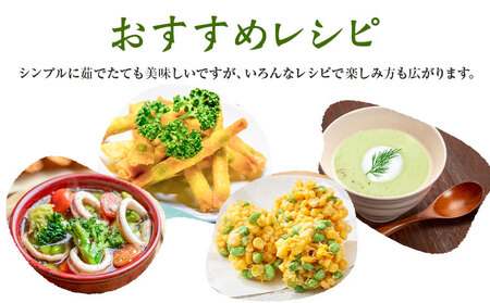 先行予約 枝豆2.4kg《2026年7月中旬-8月上旬頃出荷》【配送不可地域あり】