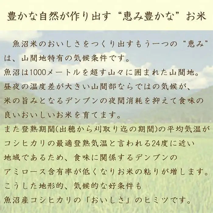 【定期便全6回】無洗米新潟県魚沼産コシヒカリ5kg（受注の翌月から毎月配送）