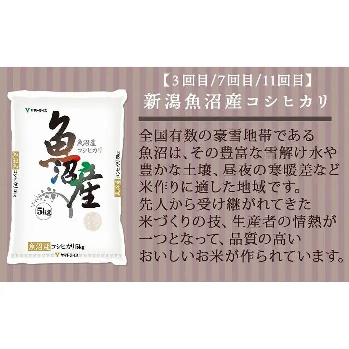 【定期便全12回】新潟県産米厳選食べ比べ 5kg（受注の翌月から毎月配送）