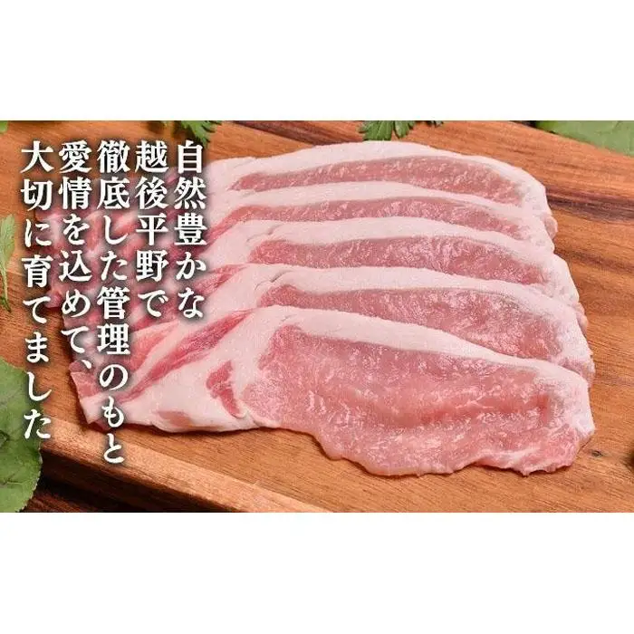 越後もちぶた(新潟県産 和豚もちぶた) ローススライス 1kg