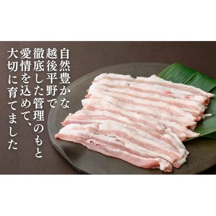 越後もちぶた(新潟県産和豚もちぶた) バラしゃぶしゃぶ用1kg