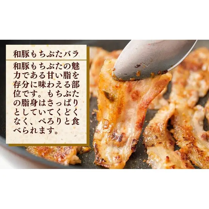 越後もちぶた（新潟県産和豚もちぶた） 焼肉セット800g