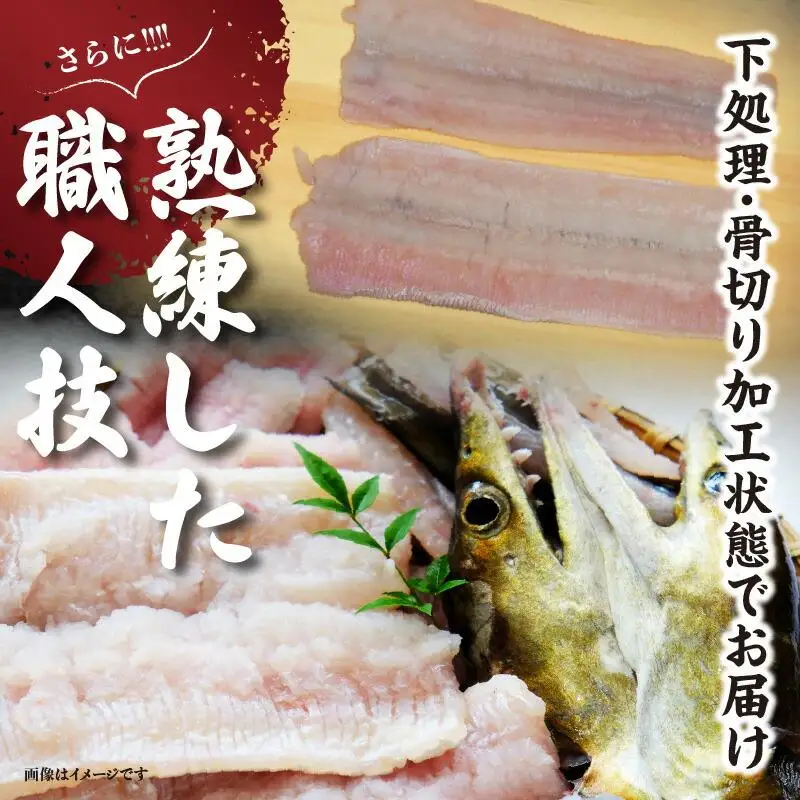 瀬戸内海のハモの骨切り（鍋・天ぷら用）