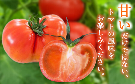 ご家庭用 トマト 桃太郎 約 2kg 訳あり | 野菜 やさい とまと 熊本県 玉名市 玉名