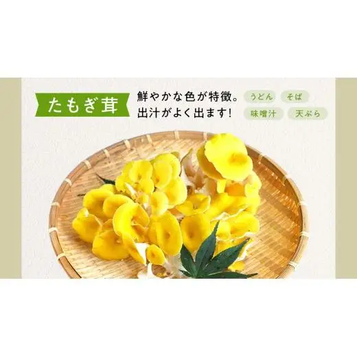 きのこ の 詰め合わせ Mサイズ ( 約1.5kg ) （茨城県共通返礼品：城里町）