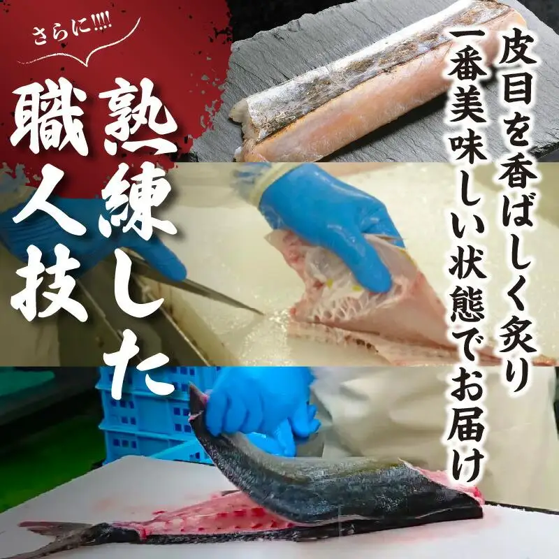 瀬戸内海のサワラの炙り