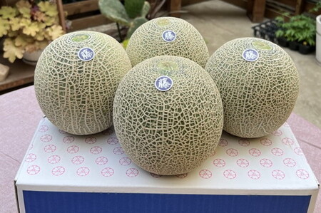 【先行予約】オリジナルブランド藤右衛門メロン4～5玉 芳醇な薫り緻密な果肉 爽やかな甘みをぜひお楽しみください　※離島への配送不可　※2026年5月下旬～6月下旬頃に順次発送予定