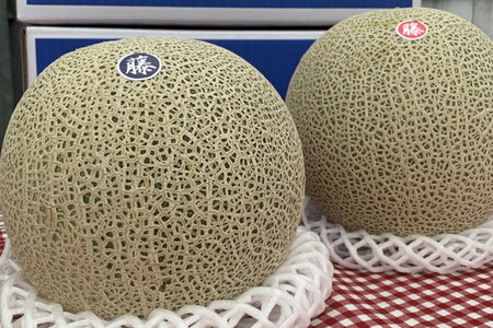【先行予約】オリジナルブランド藤右衛門メロン2玉 芳醇な薫り緻密な果肉 爽やかな甘みをぜひお楽しみください 　※離島への配送不可 　※2026年5月下旬～6月下旬頃に順次発送予定