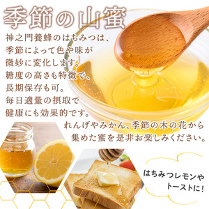 No.1074 鹿児島県産 はちみつ(600g×2本・計1.2kg) 国産 九州産 鹿児島県産 はちみつ ハチミツ 蜂蜜 山蜜 調味料 セット ギフト 贈答 プレゼント【神之門養蜂】
