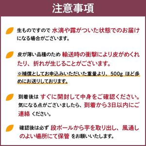 福岡県久留米市産 長期熟成紅はるか 10kg  2S～S 土付き_さつまいも 紅はるか 10kg 2S ～ S サイズ 土付き 久留米産 栽培期間中農薬不使用 長期熟成 熟成 上品 甘み ねっとり しっとり 本場 美味しい おやつ スイーツ 常温発送 国産 九州 福岡県 久留米市 お取り寄せ お取り寄せグルメ 送料無料 〔Gx042〕
