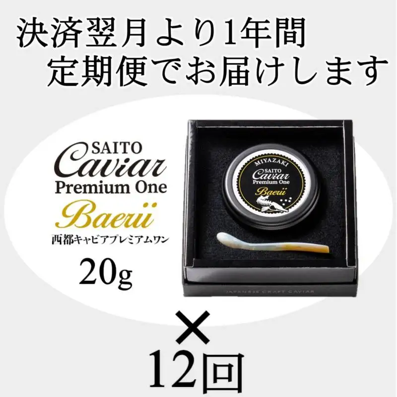 【12ヶ月定期便】「SAITO CAVIAR PREMIUM ONE BAERII」20g×12ヶ月　西都市オリジナルキャビア　鮎のよしの＜25-21a＞