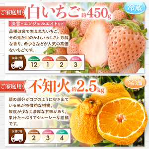 【 定期便 3回 】プチっと 堪能 ！家庭用 フルーツ定期便 ｜ （ いちご 白いちご みかん 不知火 デコポン スイカ ぶどう 梨 柿 果物 ）  定期便 定期 フルーツ 果物