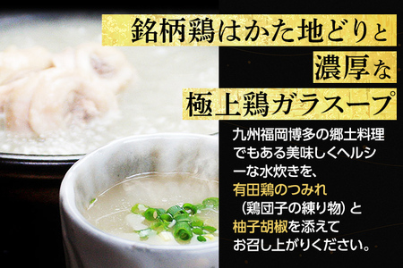 【博多鍋セット2】博多の人気2大鍋のセット「九州醤油もつ鍋」と「博多水炊き(切り身)」計4～6人前 お取り寄せグルメ お取り寄せ 福岡 お土産 九州 福岡土産 取り寄せ グルメ 福岡県