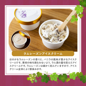 ラムレーズンアイス6個セット（2種の味わい）_ラムレーズン アイス 6個 セット 2種 x 各 3ヶ 国産干しぶどう ジャージーミルク ラムレーズンアイス ミルクアイス アイスクリーム スイーツ デザート おやつ カップ カップアイス 贈り物 福岡県 久留米市 お取り寄せ お取り寄せスイーツ 送料無料 〔Dw057〕