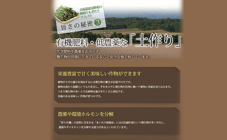 【2027年春発送】極太 グリーンアスパラ 3Lサイズ 1kg (スイートベジタブルファクトリー)