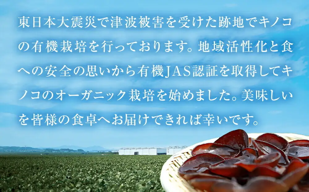 名取市産 しいたけ たけ蔵パウダー 20g×10袋セット 乾燥椎茸 粉末