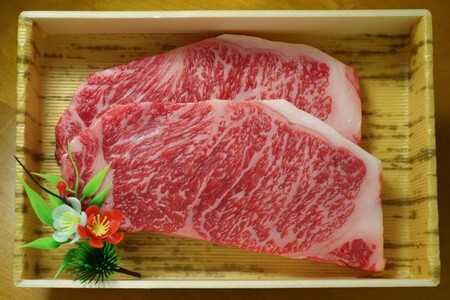 【熊本県産】 あか牛 サーロインステーキ 400g 熊本県産 くまもとあか牛 国産牛 国産 牛肉 牛 霜降り サーロイン ステーキ ステーキ肉 高級 三協畜産 熊本 阿蘇 南小国町 送料無料
