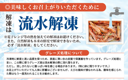 【発泡箱入り】がさえび 約600g エビ 冷凍 [A-23106]