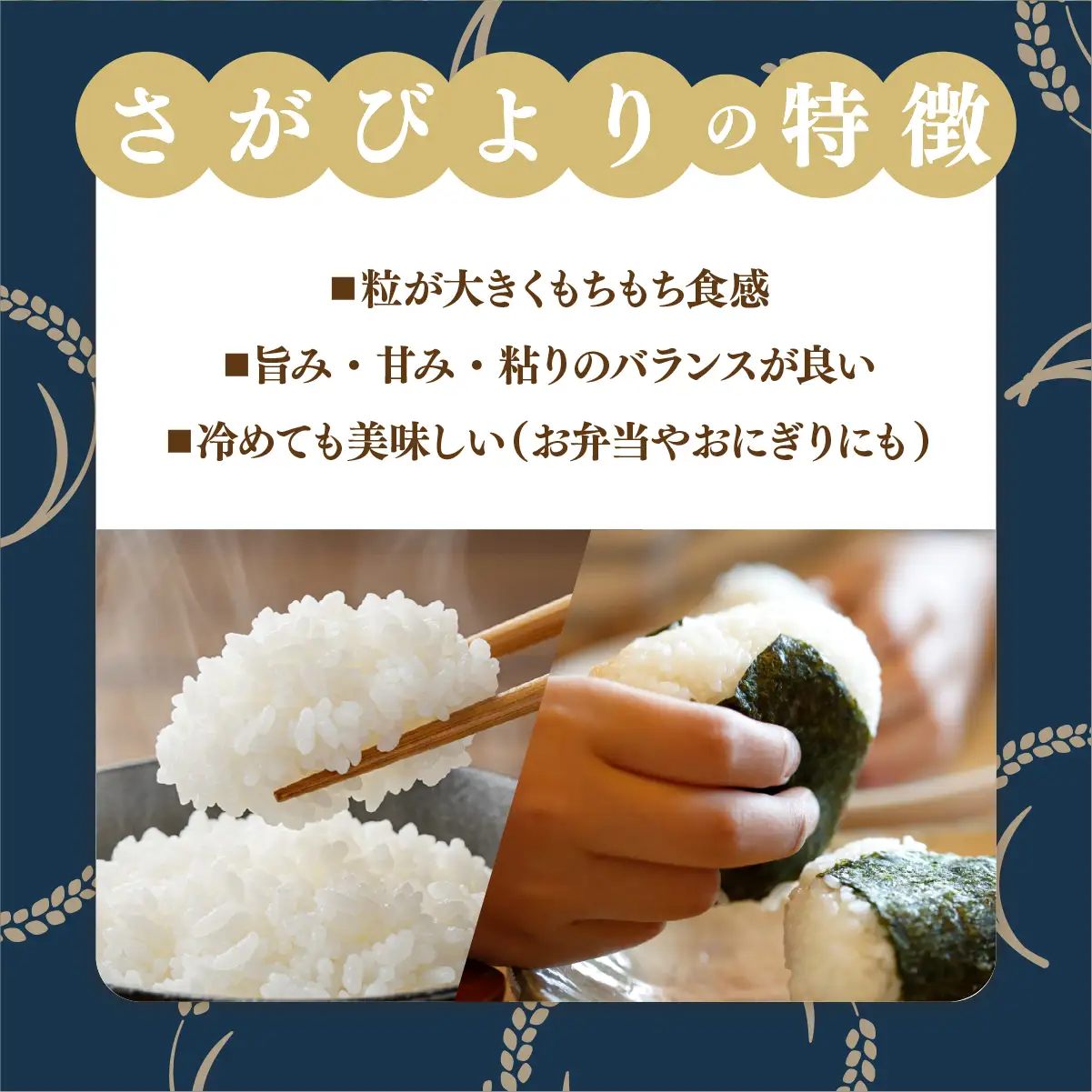 さがびより 白米 10kg×3回