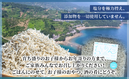 ＜訳あり ちりめん 300g入り 1袋＞ しらす シラス じゃこ 魚 さかな 小魚 海鮮 海産物 水産加工品 おにぎり 具材 おつまみ おやつ ご家庭用 のし 特産品 網元・祇園丸 愛媛県 西予市 【冷蔵】『1か月以内に順次出荷予定』 AAG0010