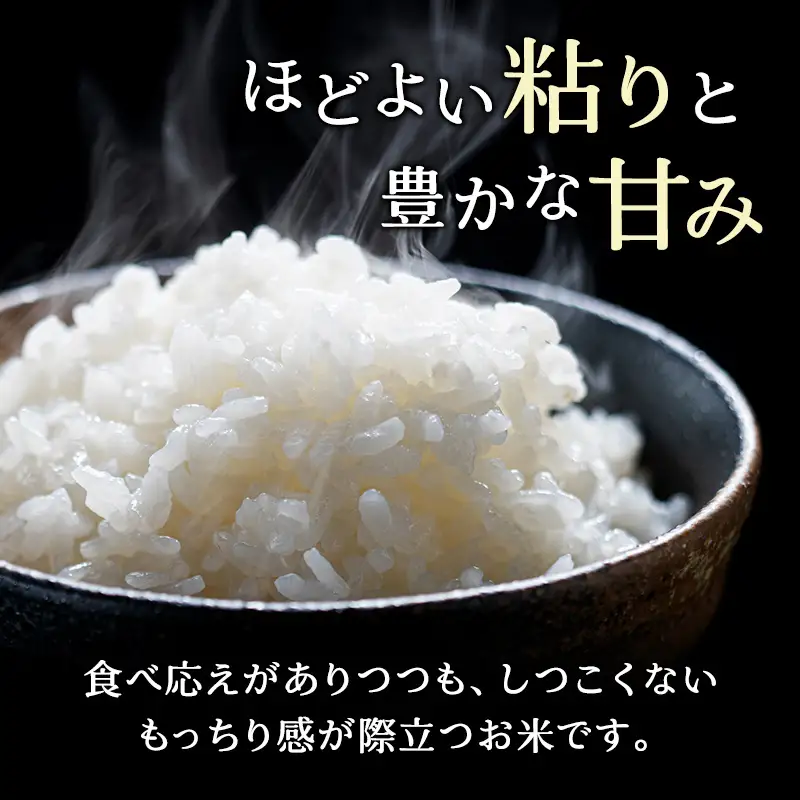 3ヵ月 定期便 (無洗米4kg)ホクレンゆめぴりか(無洗米2kg×2袋)袋はチャック付 米 お米 白米 ごはん ご飯 ライス 和食 炭水化物 主食 おにぎり お弁当  [JA新おたる] 