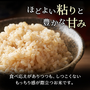 10ヵ月 定期便 (玄米3kg)ホクレンゆめぴりか(3kg×1袋) 北海道米 お米 玄米 ごはん ご飯 ライス 和食 炭水化物 主食 おにぎり お弁当 ほど良い粘り 豊かな甘み つややか 特A [JA新おたる]