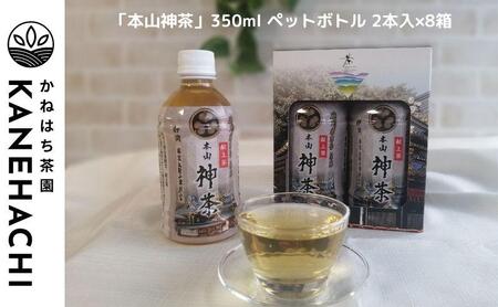 静岡久能山東照宮献上茶「本山神茶」 お茶 350ml ペットボトル 2本入×8箱 セット 静岡市葵区産 かねはち茶園 飲料 オススメお茶■