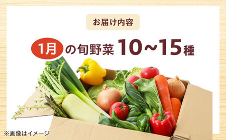 高槻野菜おまかせ詰め合わせセット 1月（10種〜15種）[AOCS007] 野菜セット