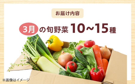 高槻野菜おまかせ詰め合わせセット 3月（10種〜15種）[AOCS009] 野菜セット