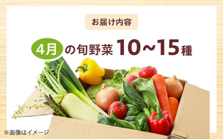 高槻おまかせ野菜詰め合わせセット 4月（10種〜15種）[AOCS010] 野菜セット