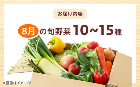高槻野菜おまかせ詰め合わせセット 8月（10種〜15種）[AOCS014] 野菜セット