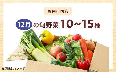 高槻野菜おまかせ詰め合わせセット 12月（10種〜15種）[AOCS018] 野菜セット