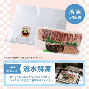 【単月お届け】大和海商 大和のこだわり漁師のお刺身6人前【冷凍】 N072-YA5531-2