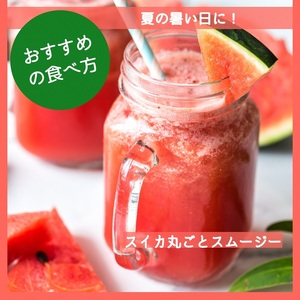 すいか 1玉 かたもとオーガニックファーム すいか