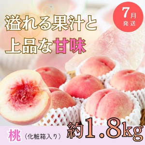 【全3回定期便】旬のフルーツ定期便 【田村みかん /  紀州デコ(不知火) /  桃】 ～和歌山の旬をお届け～ / みかん ミカン 温州みかん 有田みかん 不知火 デコポン 桃 もも モモ 柑橘 フルーツ 果物 くだもの 旬 人気 甘い 定期便【tkb313】