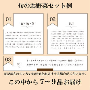 旬 の 野菜 詰め合わせ セット 3ヶ月 定期便 7 ~ 9 品 【2025年5月以降順次発送】 お楽しみ 産地直送 農家直送 季節 春 夏 秋 冬 露地野菜 やさい サラダ 農薬 化学肥料 不使用 下関 山口 IN002