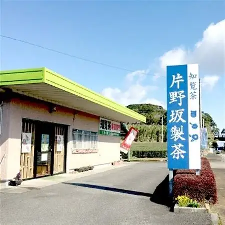 【片野坂製茶】知覧茶　煎茶　沙羅缶ギフト【1185779】