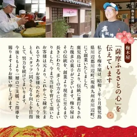 「懐かしかー」かごっま名菓たもいやんせセット【配送不可地域：離島】【1185743】