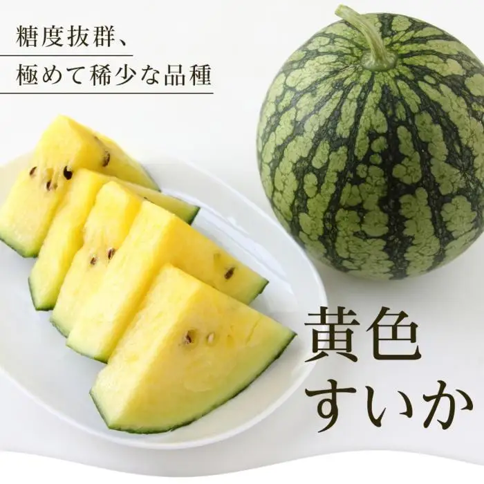 【夏季限定】飯塚農場産の八色原すいか　大玉2玉（赤1玉・黄1玉）セット【2026年7月下旬より順次発送予定】