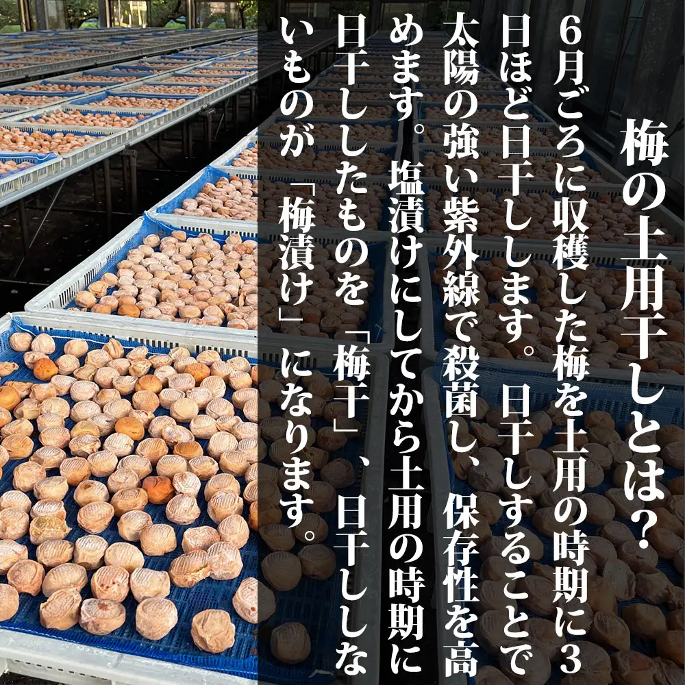 【本気の酸っぱい梅干】愛ちゃんの紀州梅 600g aisu001A【aisu001A】