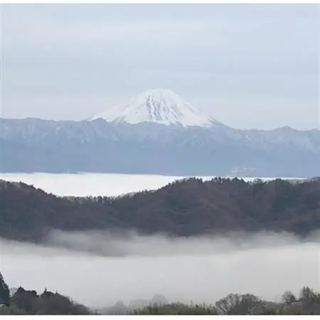 【2026年発送】9月下旬発送「牧丘天空クイーンニーナ」 約1kg(2～3房)【配送不可地域：離島・沖縄県】【1473342】