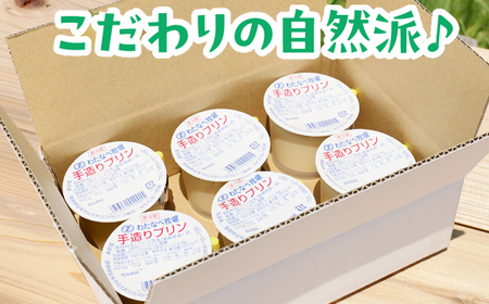 手造りプリン6個セット／冷蔵 ネッカ牛乳 ネッカ卵 蒸しプリン ソース別 牧場 スイーツ おいしい ご褒美 おやつ 牧場 搾りたて グルメ お土産 自宅用 ギフト 贈り物 島根県 安来市【06-WB-19】