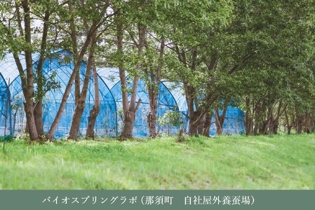 PALELINO ロディニアシルク スキンセラム 美容液 30ml×2本 保湿 うるおい スキンケア 化粧品 コスメ ふるさと納税 栃木県 那須町〔P-163〕