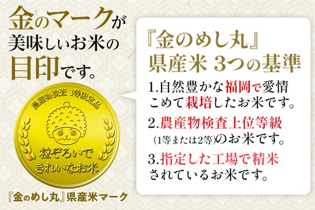 令和7年産 金のめし丸元気つくし精米10kg 元気つくし 福岡 お米 米 ごはん ご飯 お弁当 おにぎり 金のめし丸県産米 福岡ブランド米 めし丸 志免 志免町 福岡県