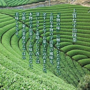 【京都 東山茶寮】濃厚宇治抹茶 生チョコレート 抹茶スイーツ